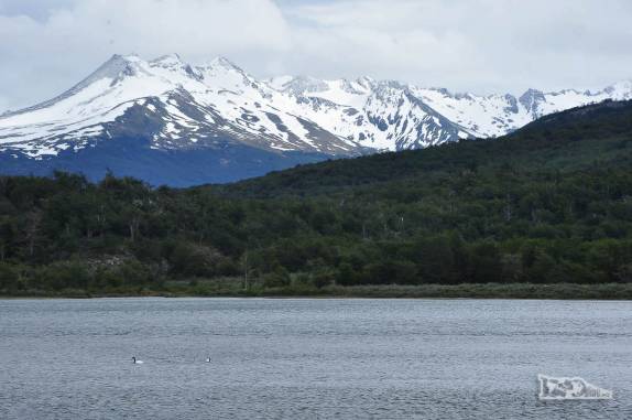 Montanhas nevadas e o Canal de Beagle, visual do parque nacional Tierra del Fuego, em Ushuaia, no sul da Terra do Fogo, na Argentina